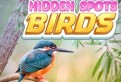 Hidden Spots - Birds